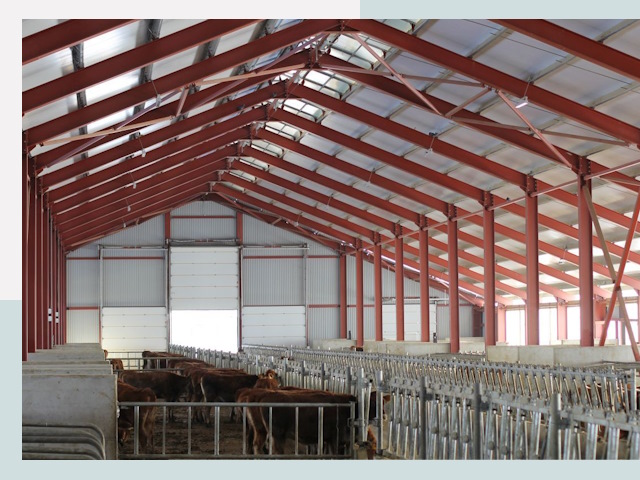 Строительство коровников в Магнитогорске